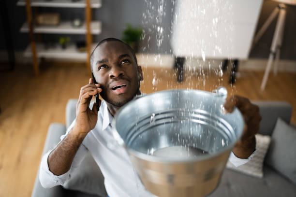 Best Mold removal after water damage  in Fort Meade, FL