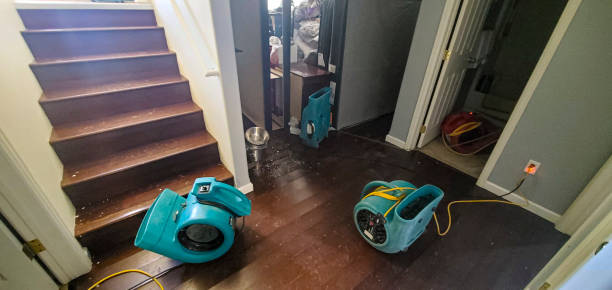 Best Water damage restoration near me  in Fort Meade, FL
