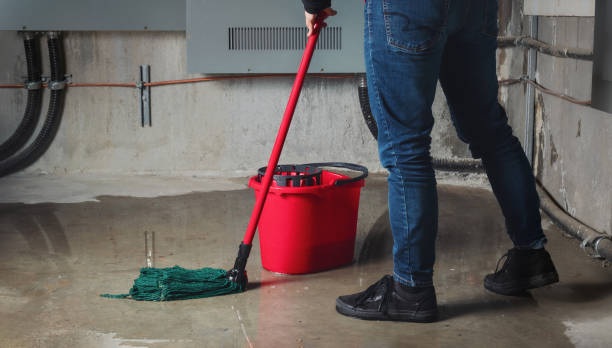 Best Emergency water extraction  in Fort Meade, FL