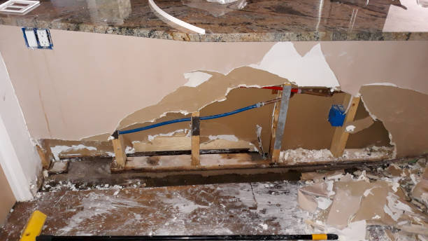 Best Sewage cleanup and water damage restoration  in Fort Meade, FL