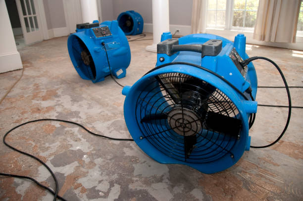 Best Local water damage restoration  in Fort Meade, FL