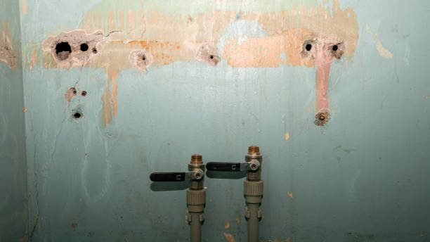 Reliable FL Water damage restoration Solutions