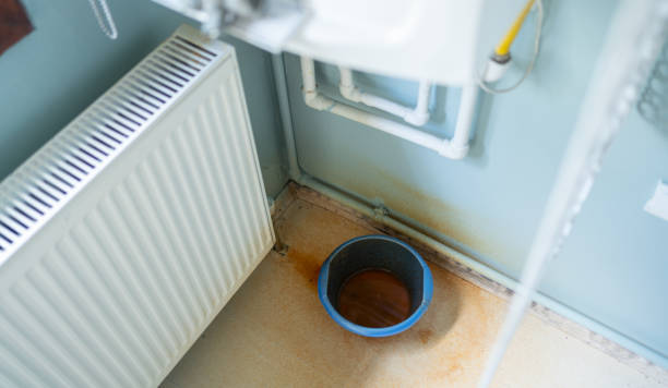 Best Emergency water damage restoration  in Fort Meade, FL