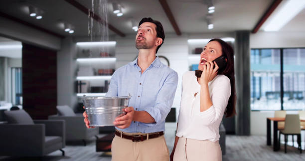 Best Water damage restoration services  in Fort Meade, FL