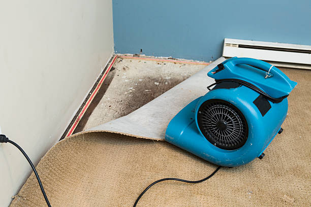 Best Water damage restoration insurance claims  in Fort Meade, FL